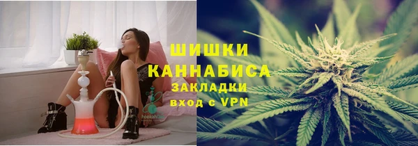 гидра Вязники