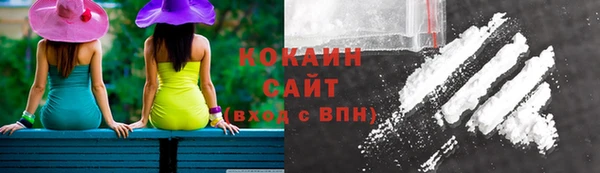 гидра Вязники