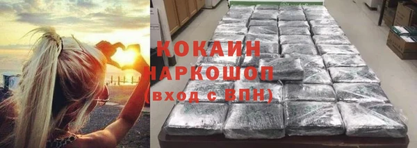 гидра Вязники
